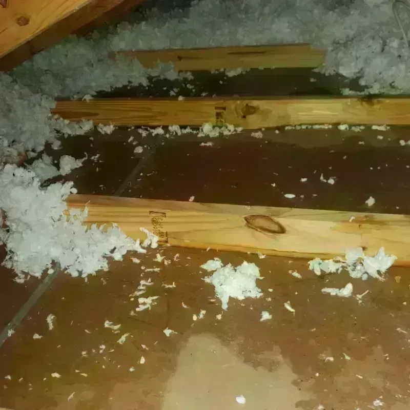 Attic Water Damage in Holland, MA